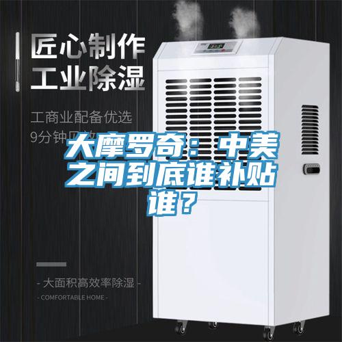 大摩罗奇：中美之间到底谁补贴谁？