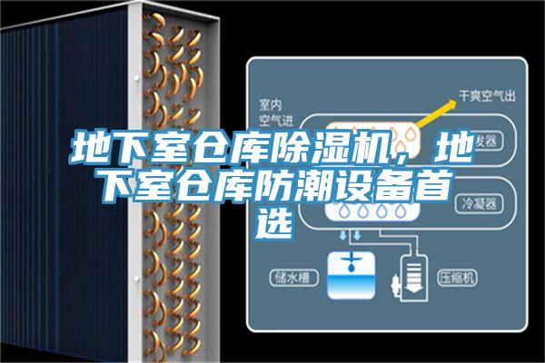 地下室仓库抖音成人版下载，地下室仓库防潮设备首选