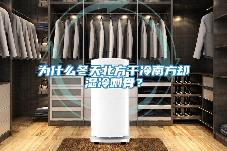 为什么冬天北方干冷南方却湿冷刺骨？