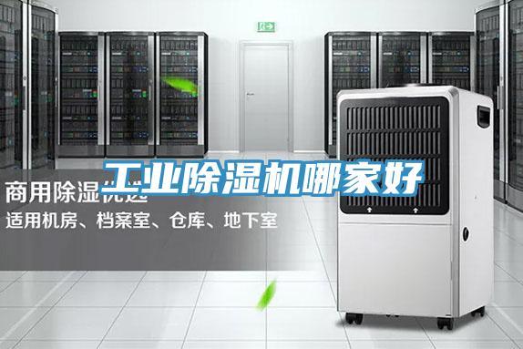 工业抖音成人版下载哪家好