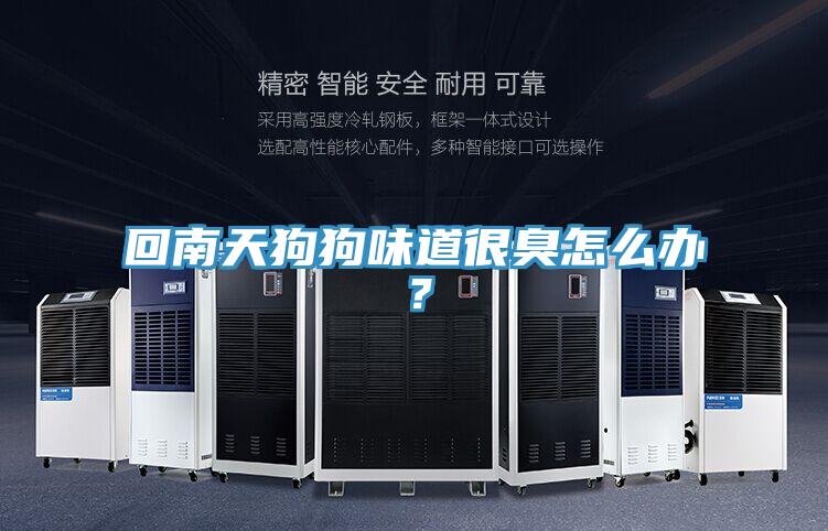 回南天狗狗味道很臭怎么办？
