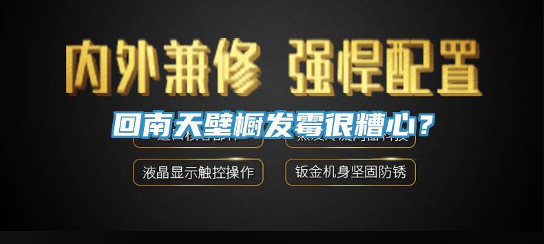 回南天壁橱发霉很糟心？