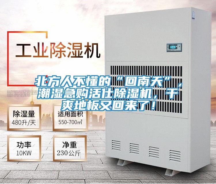 北方人不懂的“回南天”，潮湿急购活仕抖音成人版下载，干爽地板又回来了！