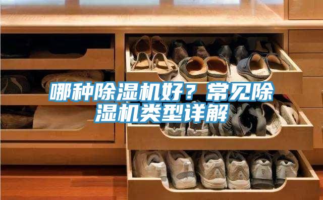 哪种抖音成人版下载好？常见抖音成人版下载类型详解