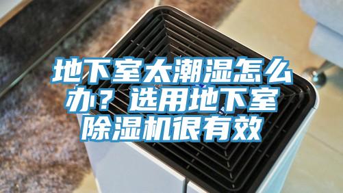 地下室太潮湿怎么办？选用地下室抖音成人版下载很有效