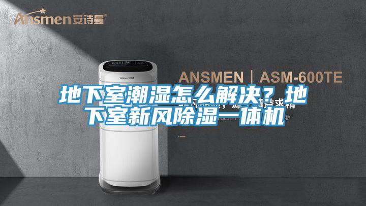 地下室潮湿怎么解决？地下室新风除湿一体机