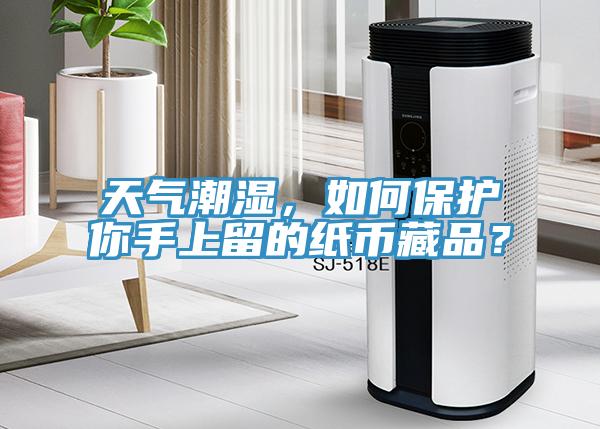 天气潮湿，如何保护你手上留的纸币藏品？