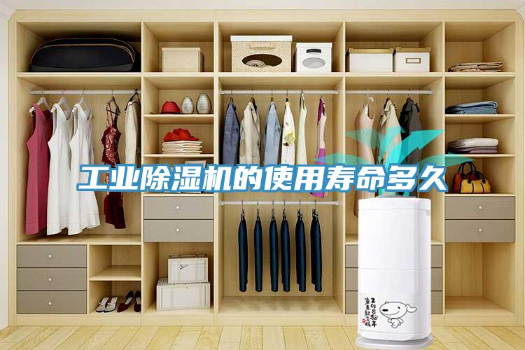 工业抖音成人版下载的使用寿命多久