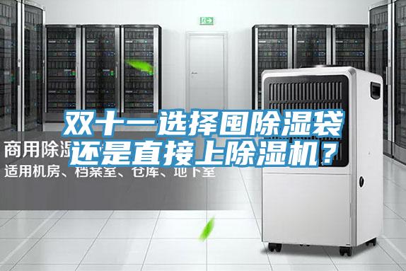 双十一选择囤除湿袋还是直接上抖音成人版下载？