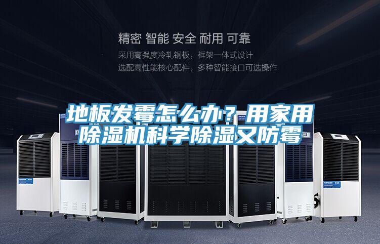 地板发霉怎么办？用家用抖音成人版下载科学除湿又防霉