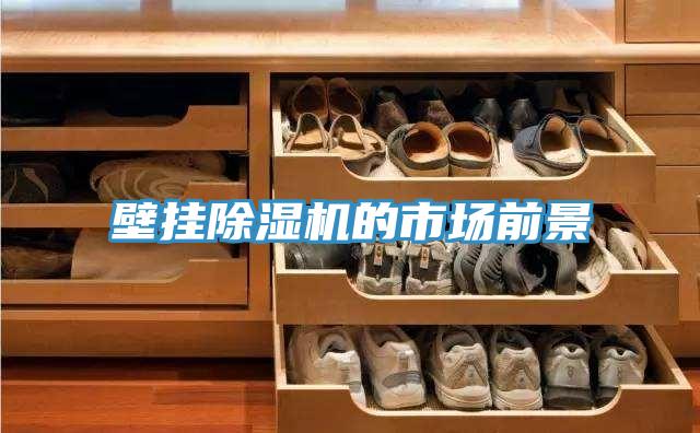 壁挂抖音成人版下载的市场前景