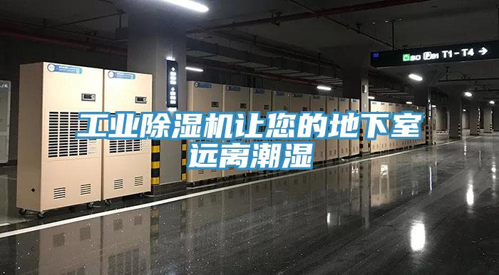 工业抖音成人版下载让您的地下室远离潮湿