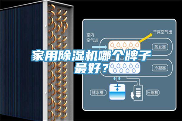 家用抖音成人版下载哪个牌子最好？