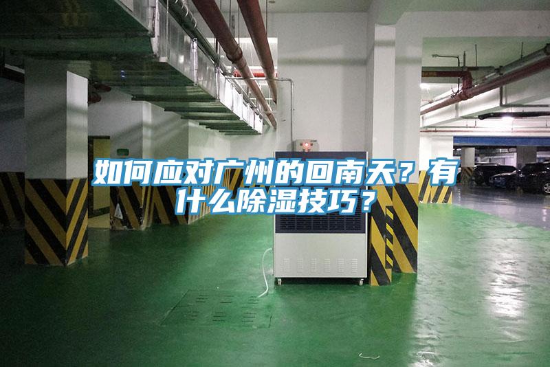 如何应对广州的回南天？有什么除湿技巧？