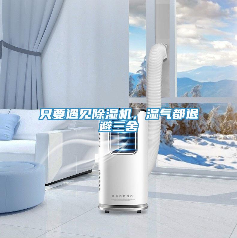 只要遇见抖音成人版下载，湿气都退避三舍