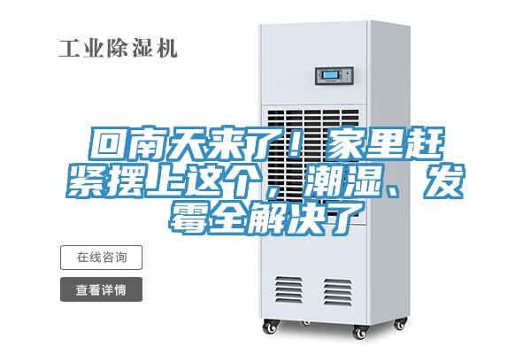 回南天来了！家里赶紧摆上这个，潮湿、发霉全解决了