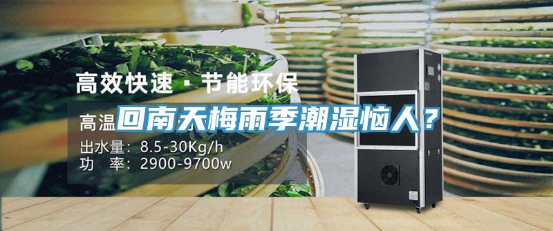 回南天梅雨季潮湿恼人？