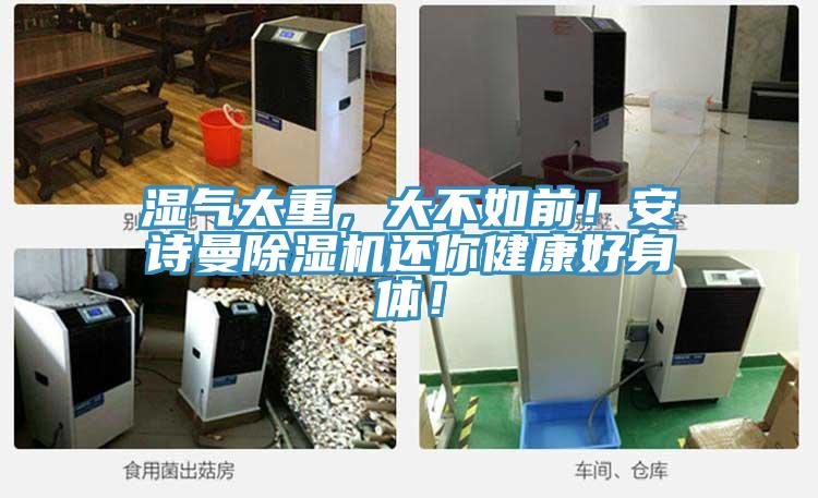 湿气太重，大不如前！抖音成人版在线观看抖音成人版下载还你健康好身体！