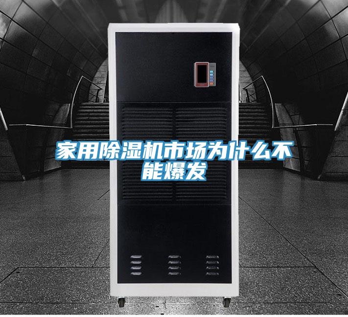 家用抖音成人版下载市场为什么不能爆发