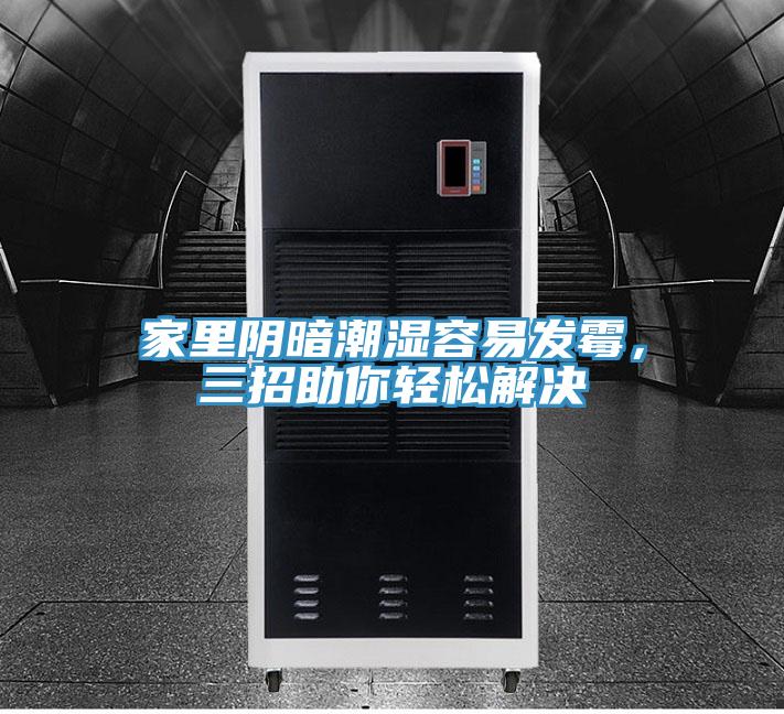 家里阴暗潮湿容易发霉，三招助你轻松解决