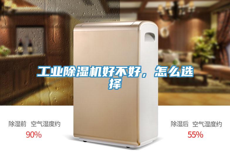 工业抖音成人版下载好不好，怎么选择