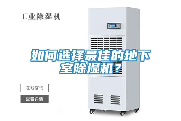 如何选择最佳的地下室抖音成人版下载？