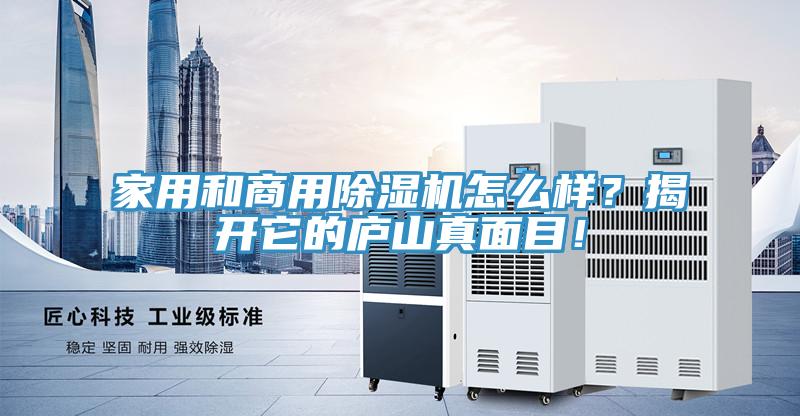 家用和商用抖音成人版下载怎么样？揭开它的庐山真面目！