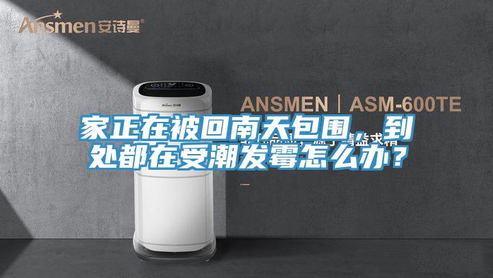 家正在被回南天包围，到处都在受潮发霉怎么办？