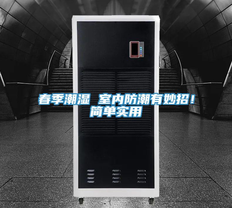 春季潮湿 室内防潮有妙招！简单实用