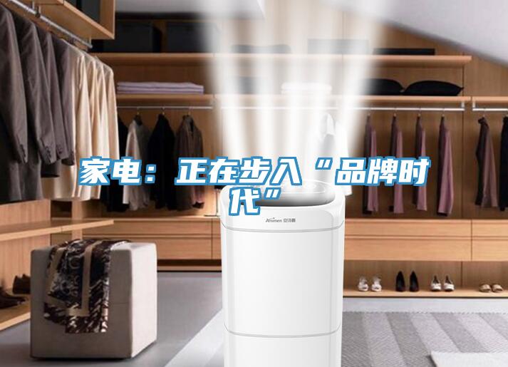 家电：正在步入“品牌时代”