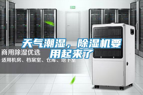 天气潮湿，抖音成人版下载要用起来了