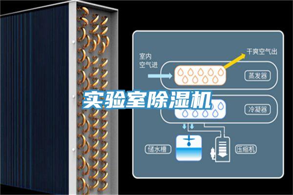 实验室抖音成人版下载