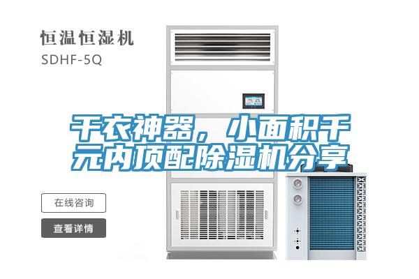 干衣神器，小面积千元内顶配抖音成人版下载分享