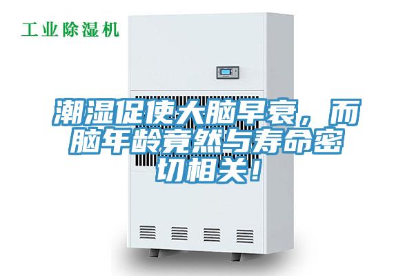 潮湿促使大脑早衰，而脑年龄竟然与寿命密切相关！