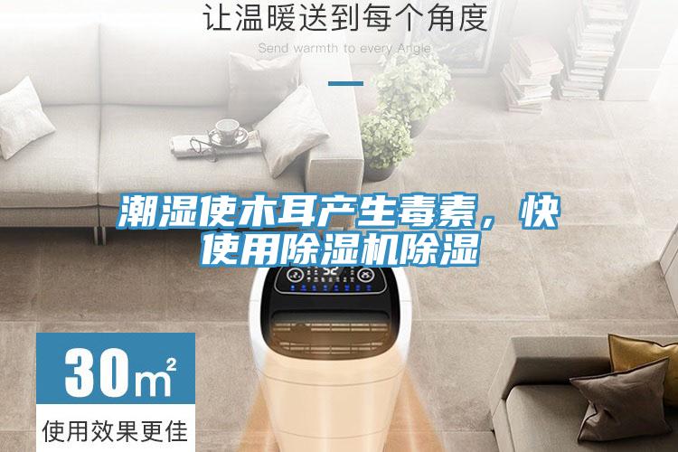 潮湿使木耳产生毒素，快使用抖音成人版下载除湿