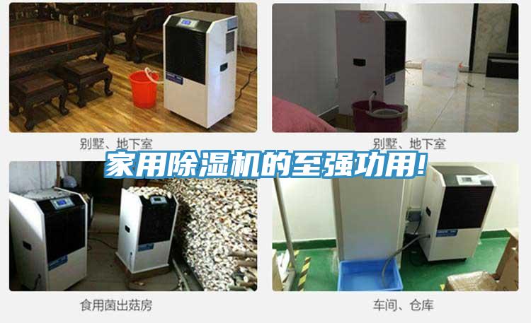 家用抖音成人版下载的至强功用!