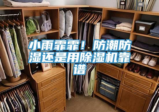 小雨霏霏！防潮防湿还是用抖音成人版下载靠谱