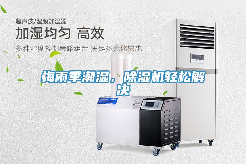 梅雨季潮湿，抖音成人版下载轻松解决