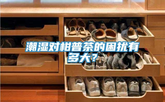 潮湿对柑普茶的困扰有多大？