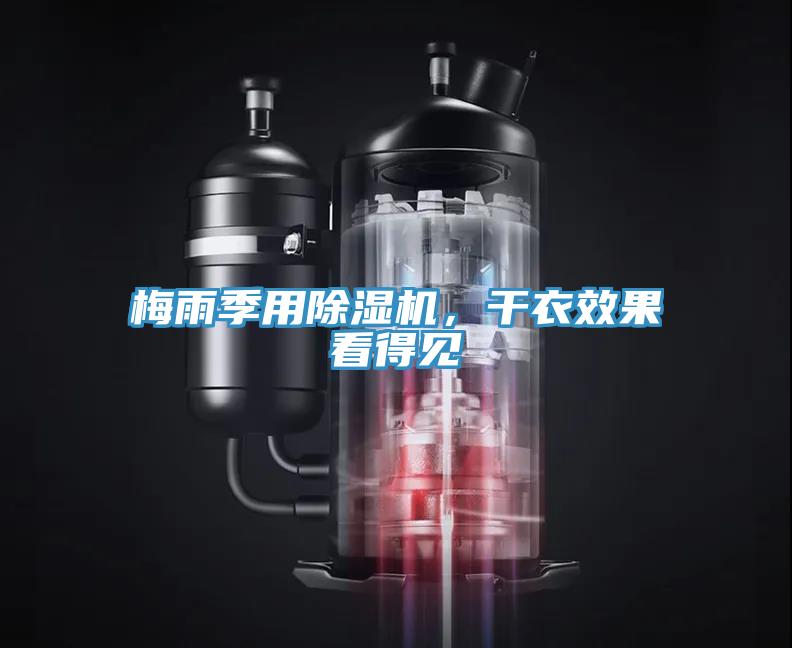 梅雨季用抖音成人版下载，干衣效果看得见