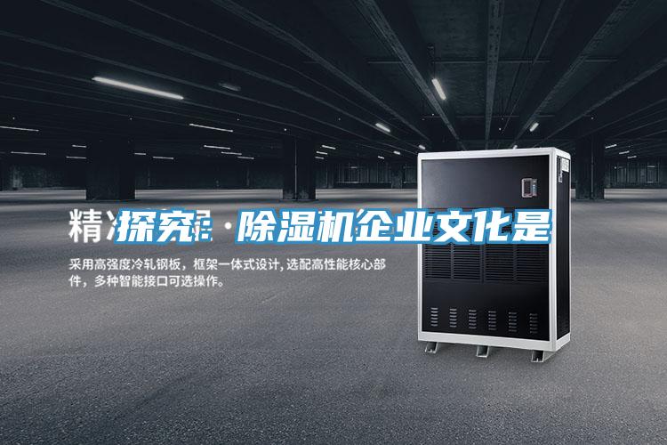 探究：抖音成人版下载企业文化是