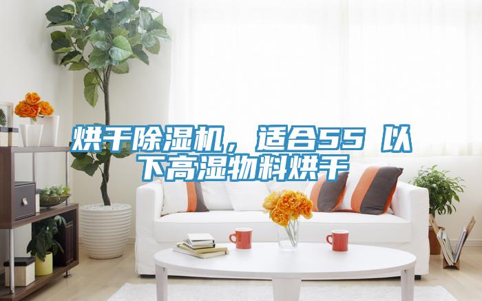 烘干抖音成人版下载，适合55℃以下高湿物料烘干