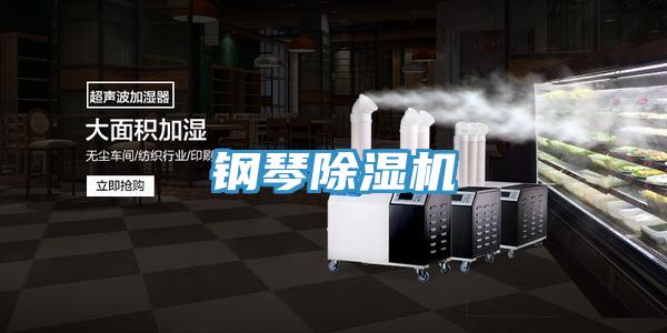 钢琴抖音成人版下载