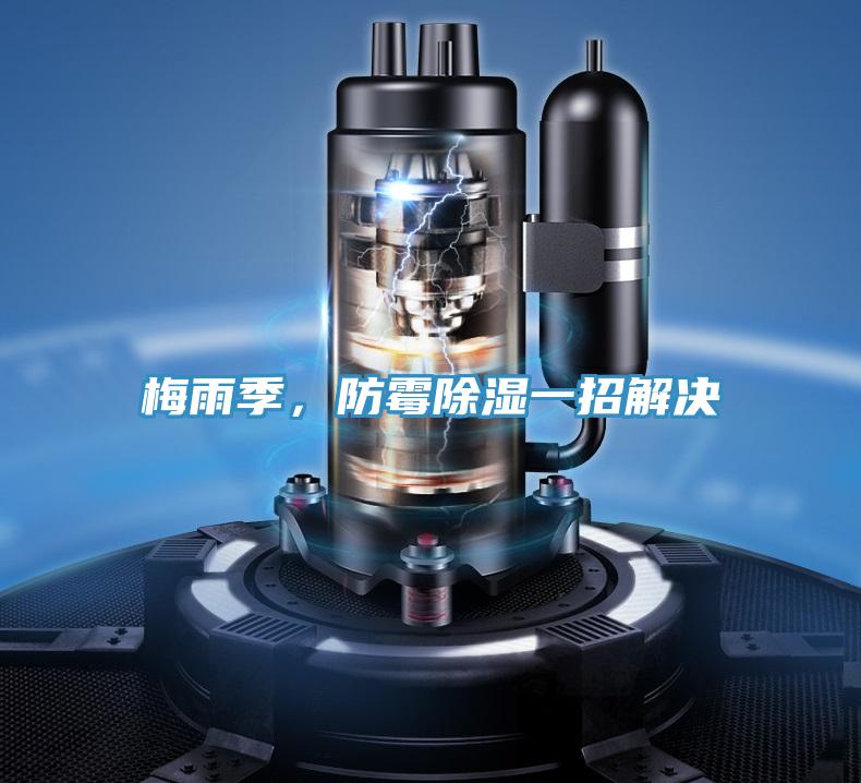 梅雨季，防霉除湿一招解决