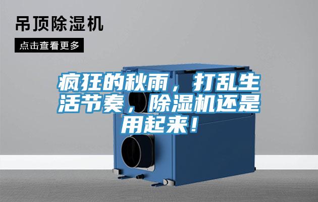 疯狂的秋雨，打乱生活节奏，抖音成人版下载还是用起来！