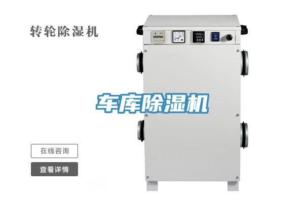 车库抖音成人版下载