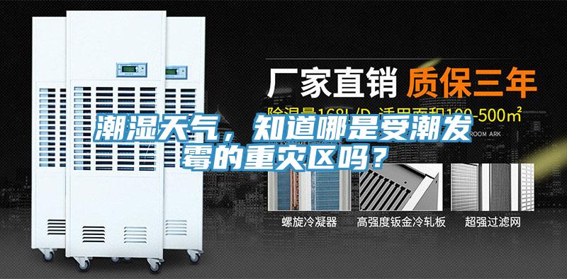 潮湿天气，知道哪是受潮发霉的重灾区吗？