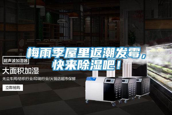 梅雨季屋里返潮发霉，快来除湿吧！