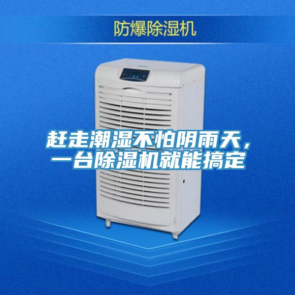 赶走潮湿不怕阴雨天，一台抖音成人版下载就能搞定