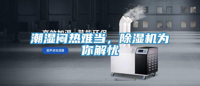 潮湿闷热难当，抖音成人版下载为你解忧